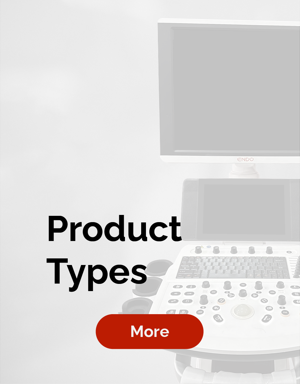 Product Type