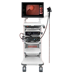 Video Endoscope System V2