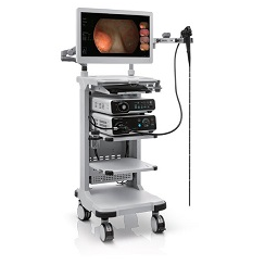 Video Endoscope System V3