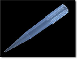 Micropipette Tips