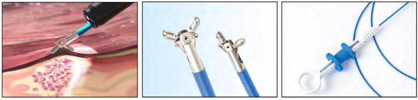 AGS MEDTECH Disposable Endoscopy Instrument