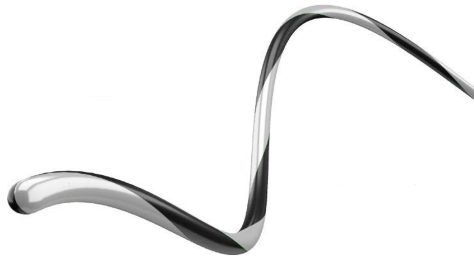 Zebra Guidewire