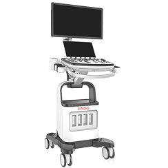 4D Digital Ultrasound Diagnostic System, ENDO EI.USG4D.v7