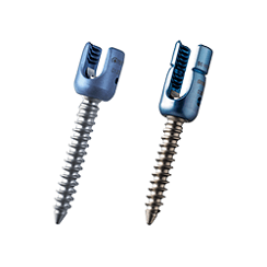 Pedicle Screw