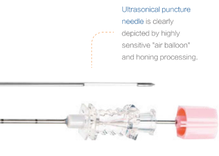 Percutaneous Nephrostomy Set
