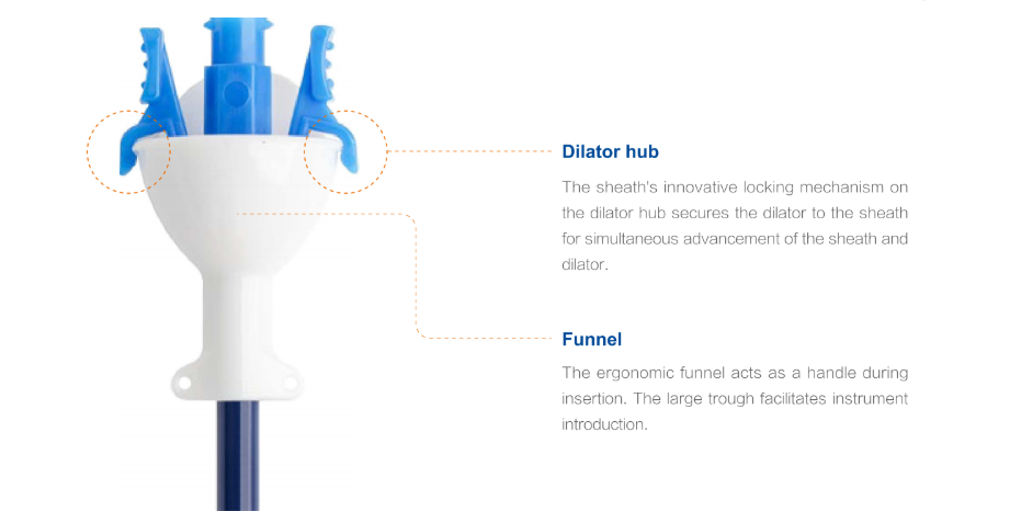 Ureteral Access Sheath