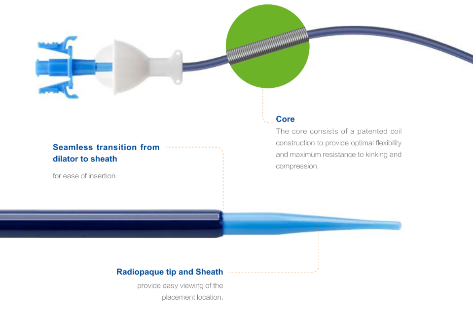 Ureteral Access Sheath