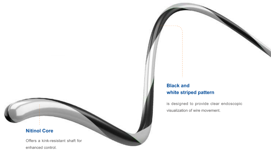 Zebra Guidewire