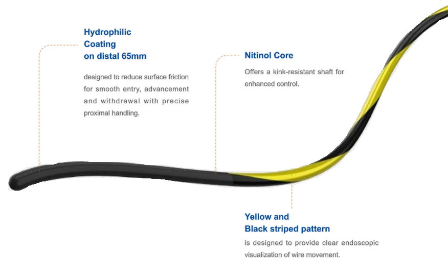 Zebra Guidewire