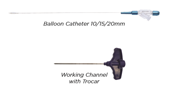 Guardian Balloon Kyphoplasty System